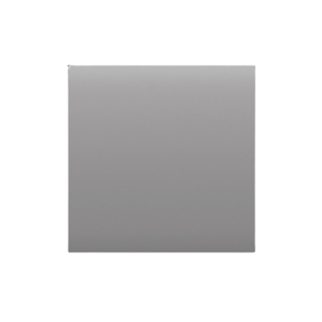 Ajax CenterButton (1-gang/2-way) [55] fog   (BASELINE)