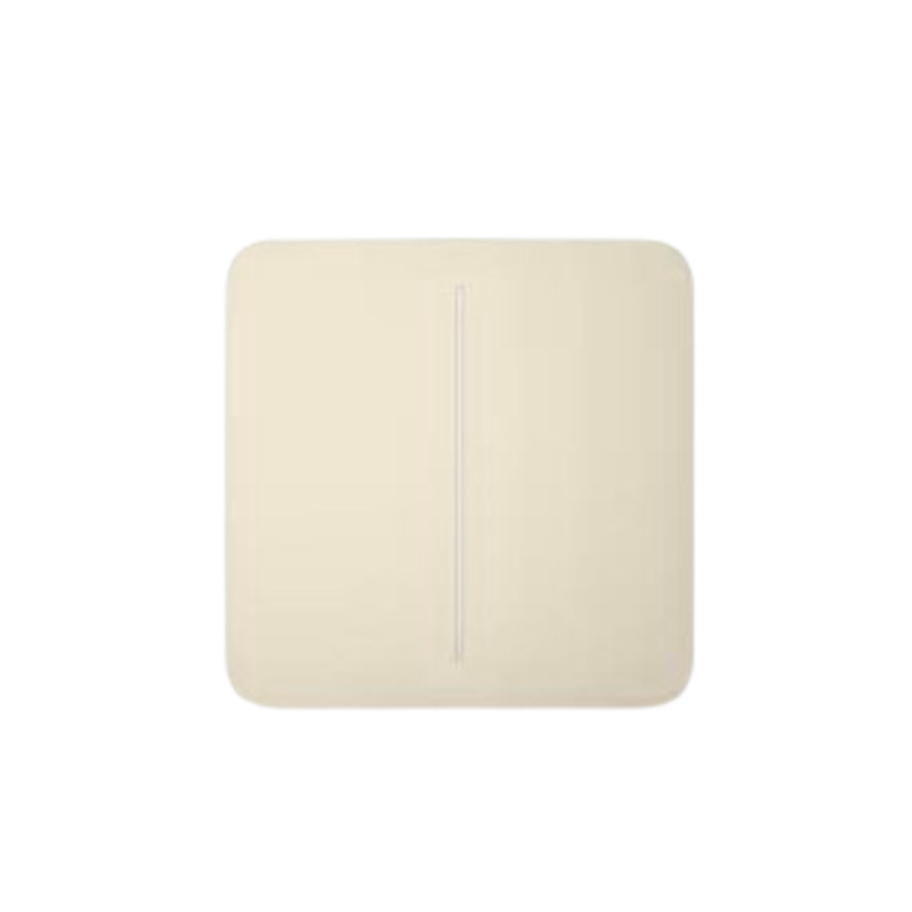 Ajax SoloButton (2-gang) [55] ivory   (BASELINE)