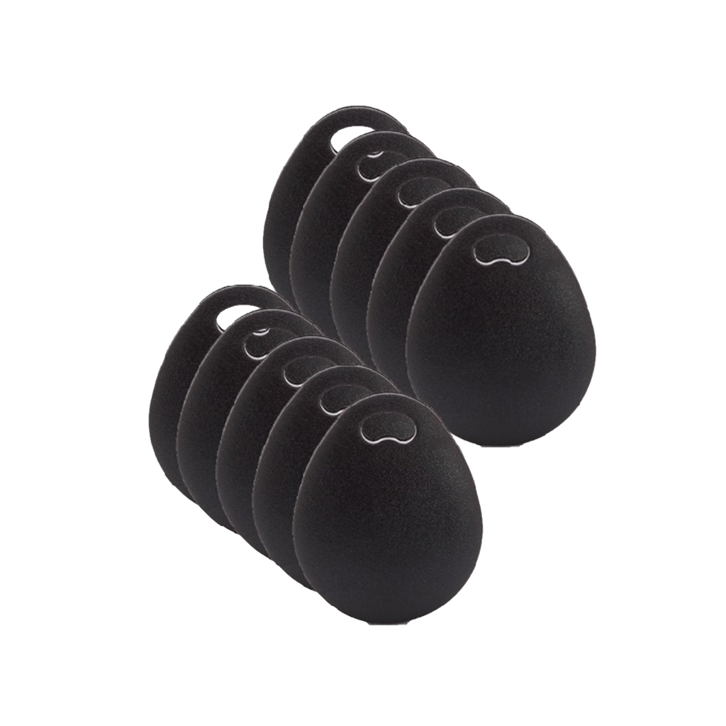 KIT TAG DE PROXIMITÉ 13.56MHZ- RISCO - LOT DE 10