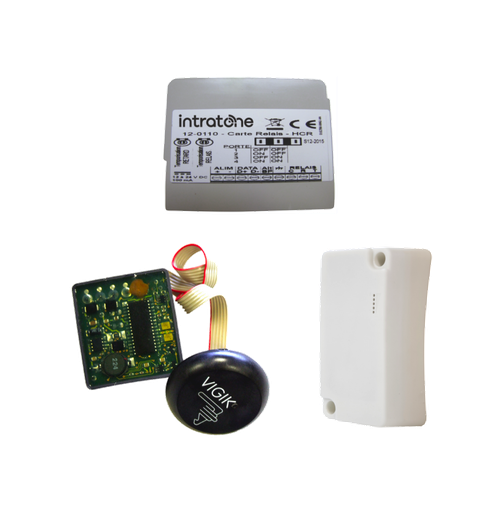 [06-0132] INTRABOX DATA ECO PROX  (HBOXECO-VIGI/LUX)