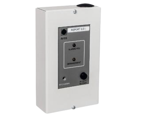 [RP2] REPORT DE SYNTHESE POUR BAYA  (NEU-RP2)