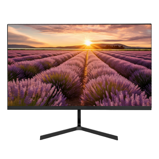 [TLMV24S] ÉCRAN FULL HD 24" SANS HAUT-PARLEUR